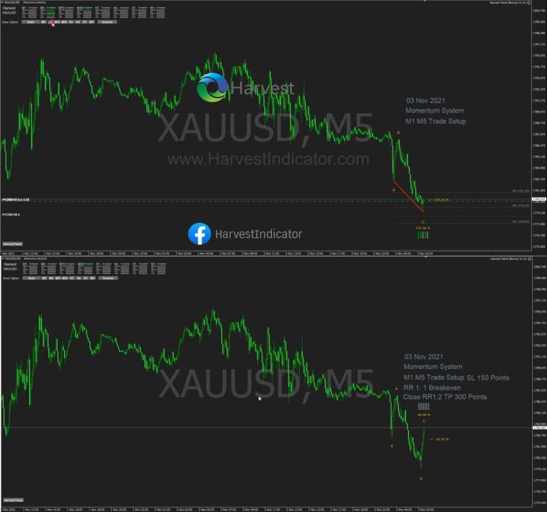 Momentum System