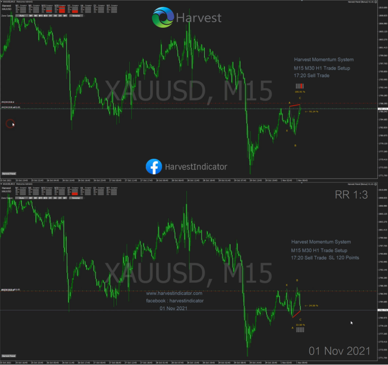 Momentum System