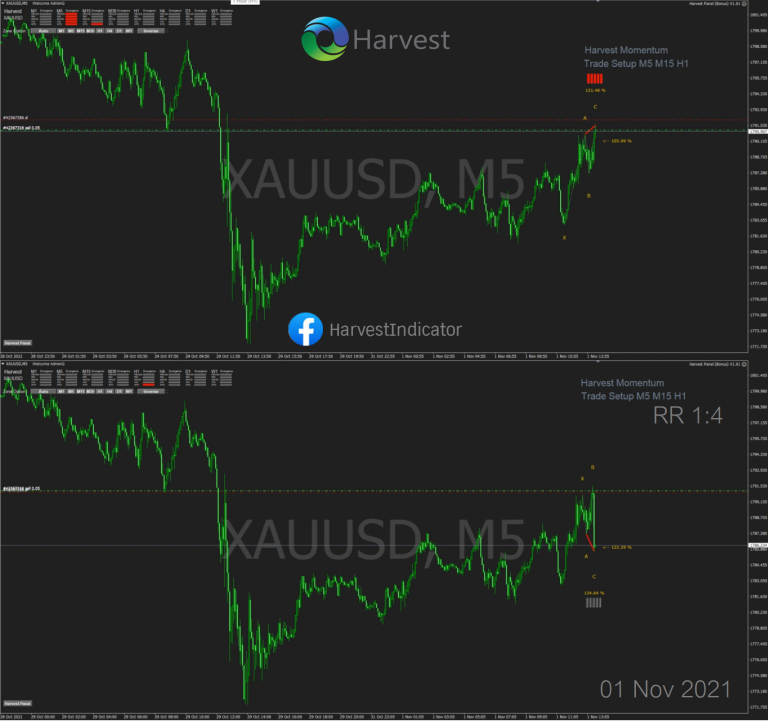 Momentum System