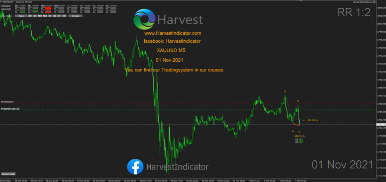 Momentum System